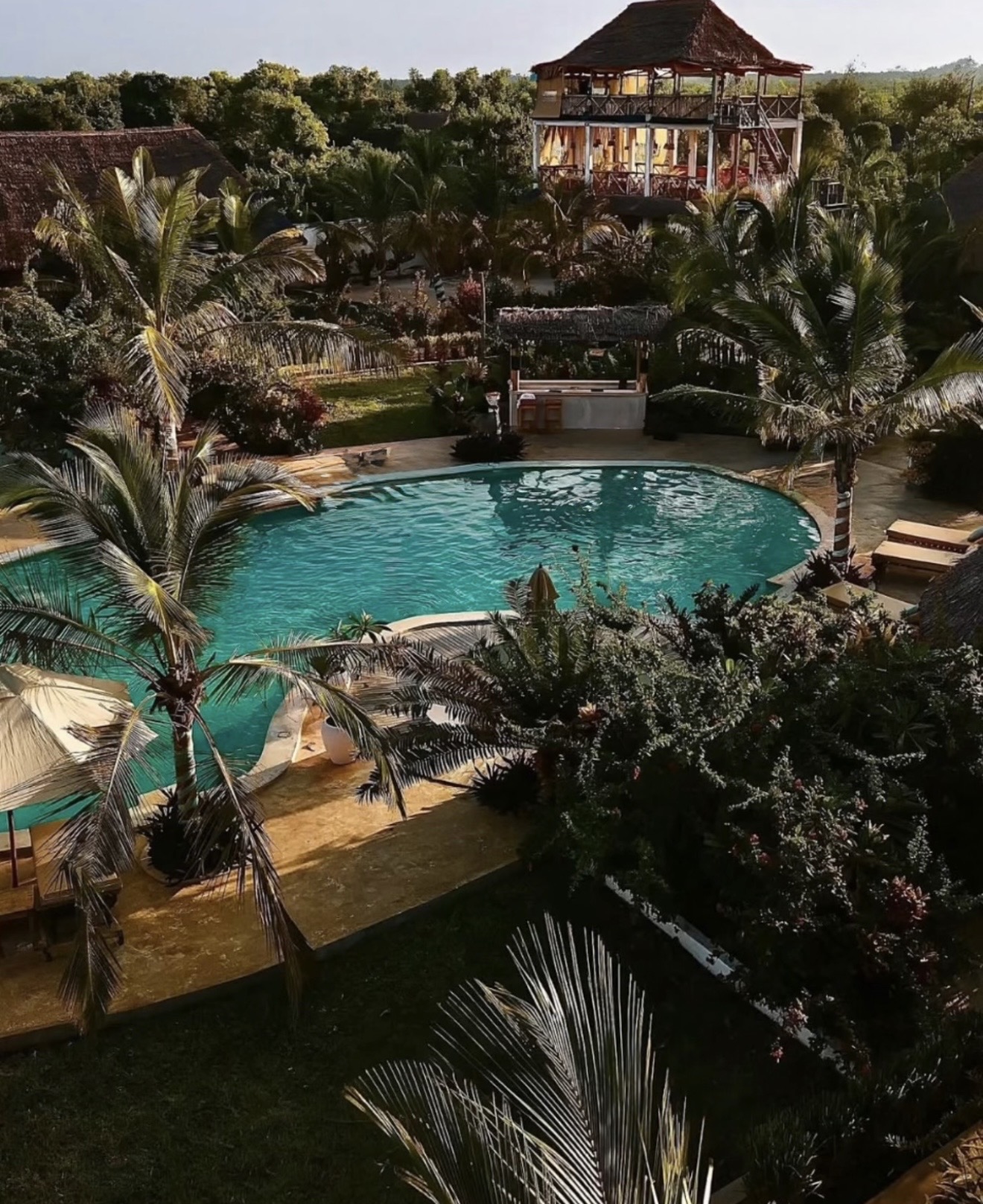 Zen Boutique pool sanctuary nestled among palms — Day 1 arrival