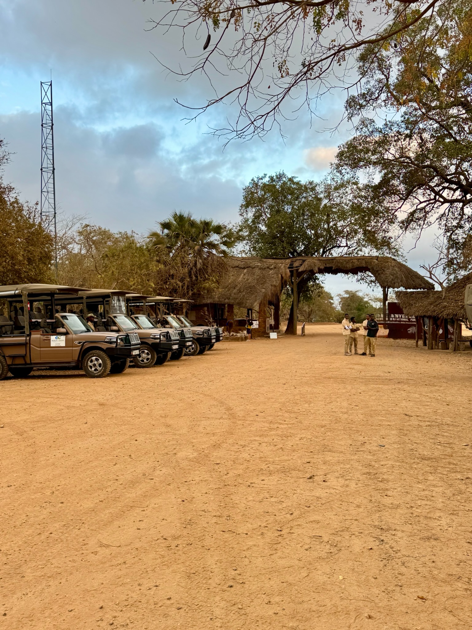 Safari vehicles lined up at a thatched-roof park gate beneath an open Tanzanian sky
